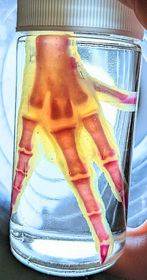 Chicken, Foot - Diaphonized